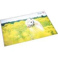 Läufer 46651 Schreibtischunterlage Pferd im Rapsfeld,