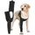 Suitical OP-Body Recovery Front Leg Double Sleeve Hund Schwarz XS