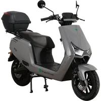Greenstreet Elektroroller Rio 2000W 45 kmh grau inkl. Topcase