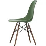 Vitra - Eames Plastic Side Chair DSW RE, Ahorn dunkel / forest (Filzgleiter basic dark)