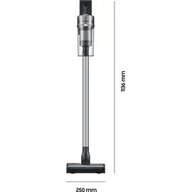 Samsung Jet 75 elite VS20T75D6R5 silber