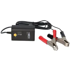 Ansmann ALCS2-12 0.4 1001-0015 Steckerlader 6 V, 2 V, 12 V 0.4 A