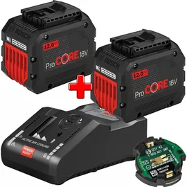 Bosch Professional Starterset ProCore 18 V Li-Ion 2 x 12,0 Ah 1600A016GY
