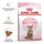 Royal Canin Kitten Sterilised 2 x 3,5 kg
