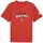 Puma Ägypten ftblCulture rot XL
