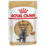 Royal Canin Adult British Shorthair 12 x 85 g