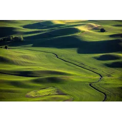 Fototapete PAPERMOON "Landschaft", bunt, B:4,50m L:2,80m, Vlies, Tapeten