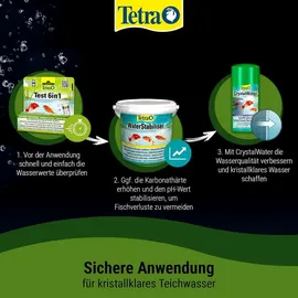 Tetra CrystalWater Teichwasserbehandlung 3 l