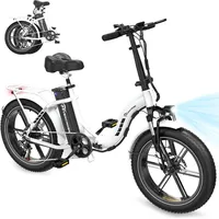 RCB Evercross E-Bike 20" 7 Gang 48V/13Ah Elektrofahrrad klapprad