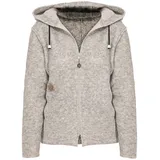 Alp1964 Trachtenjacke 195301 silber XXL