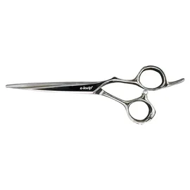 e-kwip e-kwip+ ASE ASEROCKSTAR 55 Haarschere 5,5'' 0536