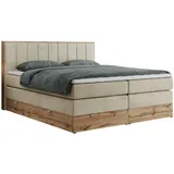 MKS Bellissimo King 160 x 200 cm H4 Beige
