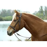 Barefoot Gebisslose Zäumung für Pferde – Bittless Bridle und Sidepull in einem – Weich gepolstert mit breitem Nasen-, Stirn- und Genickstück – ideal für Western, Englisch und Wanderreiten – braun