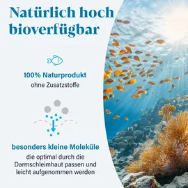 Nova Nature Collagen Pulver Marine 300 g