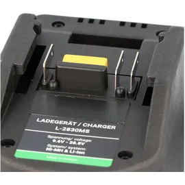 AccuCell Schnell-Ladegerät passend für Birchmeier Akku P5100, Ladegerät für Akku-Rückenspritze Birchmeier REC 15 ABZ, REC 15 PZ1, max. 3A Ladestrom