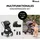 hauck Move N Care Set Multifunktionales Kinderwagen-Set, Farbe: Black
