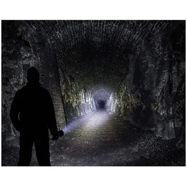 Ledlenser X21R 501967