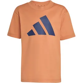 adidas Kinder Set LK BL T-SET 160 KB9667 128 - Duor/Dkblue - 128