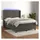vidaXL Boxspringbett mit Matratze & LED Dunkelgrau 140x200 cm Samt