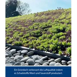 hörmann stauraumsysteme Hörmann Karton Gründach für Gerätehaus Berry mit Pultdach Berry Typ 1, Moosgrün