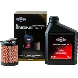 Briggs & Stratton Motorwartungskit, für B+S Model 21,Serie 3Pb/Intek - bunt