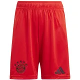 Adidas FC Bayern München 24/25 Heimshorts Kids