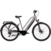 Saxonette Premium Sport Trapez 28" RH 45 cm silber matt