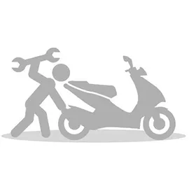 Polisport Seitenteile Schutzhülle für Beta RR 2T/4T 13-19/X-Trainer 15-20 Schwarz