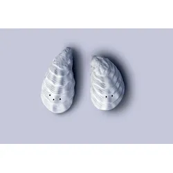 räder Salzstreuer  Salz & Pfefferstreuer Set Austern 0017563