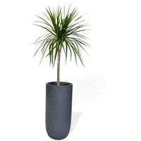 Köhko Blumenkübel Pflanzkübel aus Fiberglas Pflanzübertopf ø34xH64 cm Anthrazit