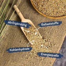 Lyra Pet 10 kg Lyra Pet® Dari weiß in 30 L Tonne