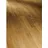 Parador Parkett Basic 11-5 Natur Eiche matt