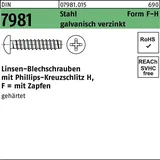 OEM Blechschraube DIN 7981 F 4,8 x 9,5 mm 100 Stück