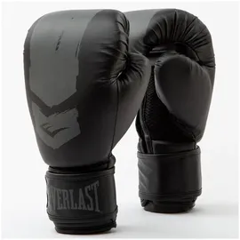 EVERLAST Boxhandschuhe One Size)