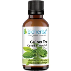 Grüner Tee  Camellia sinensis L.  Tropfen  Tinktur 50 ml