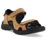 ECCO Onroads