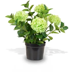 Hortensie - Hydrangea Kunstpflanze, 5 Blüten grün