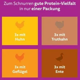 Whiskas Pure Delight Geflügel Ragout in Gelee 144 x 85 g