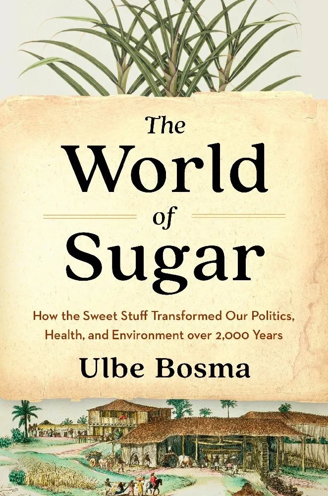 The World of Sugar: Buch von Ulbe Bosma