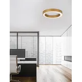 Nova Luce Morbido LED Deckenleuchte Messing