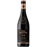 Cielo e Terra Gran Maestro Appassimento Rosso 2023 0,75 l