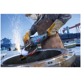 Bosch EXWS30-230PB für 230 mm