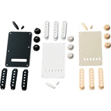 Fender Accessory Kit - Stratocaster