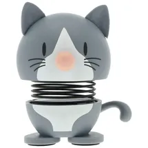 Hoptimist Blue American Shorthair