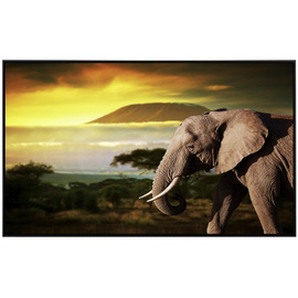 Papermoon Infrarotheizung Elefant von Kilimanjaro«, Matt-Effekt - bunt