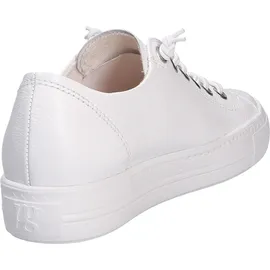 Paul Green 4081 white 40,5