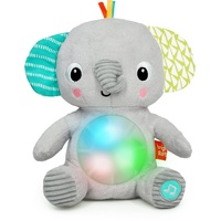 Bright Starts Hug-a-bye BabyTM Musical Light Up Soft Toy?
