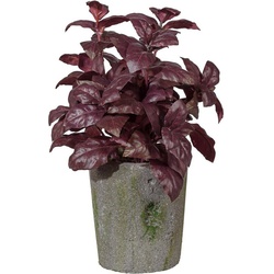 Kunstpflanze Basilikumbusch Basilikum, Creativ green, Höhe 23 cm lila 23 cm
