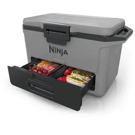 Ninja Kühlbox FrostVault FB151EUGY mit Trockenzone Schiefergrau 47 l