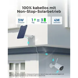 Reolink Argus Eco 3MP Weiß